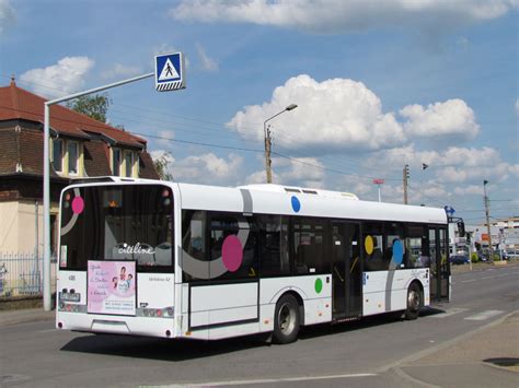 trans urbino|ERFAHRUNGSBERICHTE 